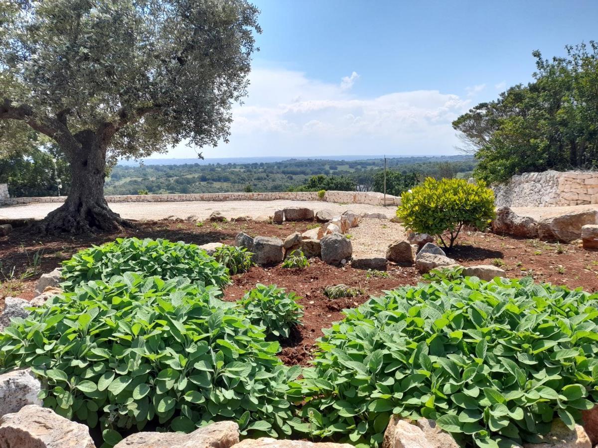 Dimora Verde B Con Trullo Masseria Poesia Cisternino Eksteriør billede